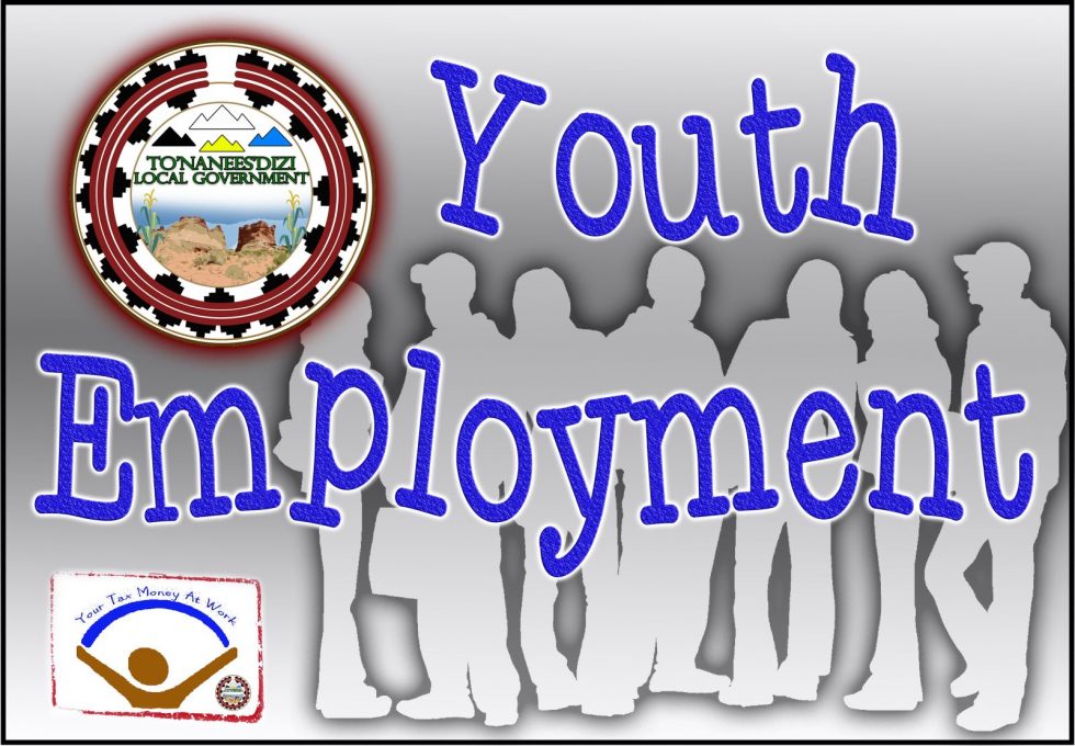 Youth Employment To'Nanees'Dizi (Tuba City)